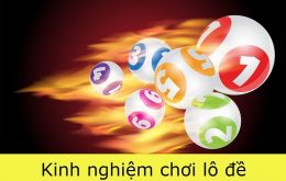 Những kinh nghiệm của tiền bối sẽ giúp ích cho bạn rất nhiều